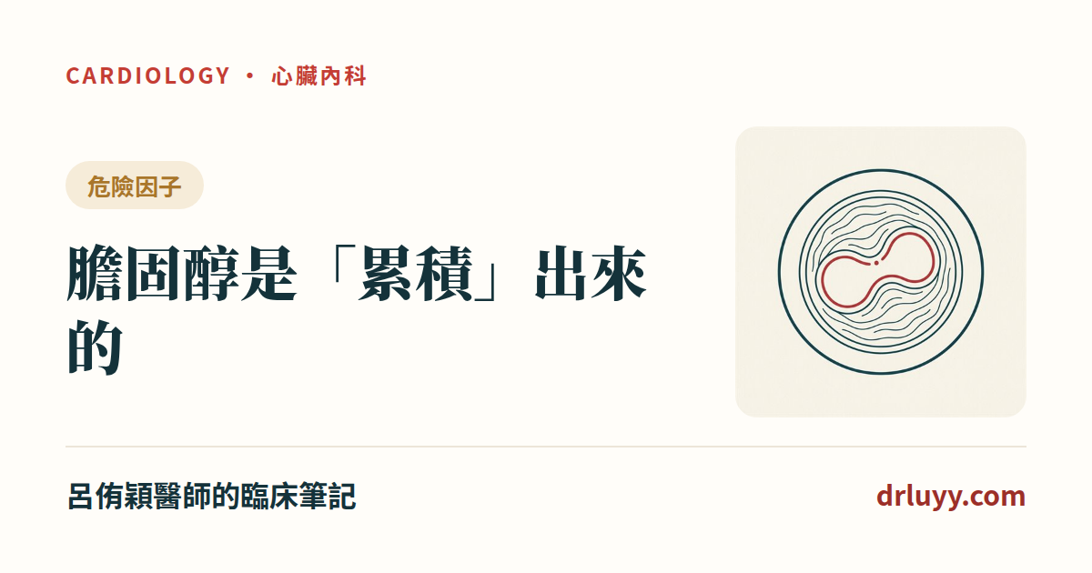 膽固醇是「累積」出來的:LDL × 年齡,為什麼要趁早降